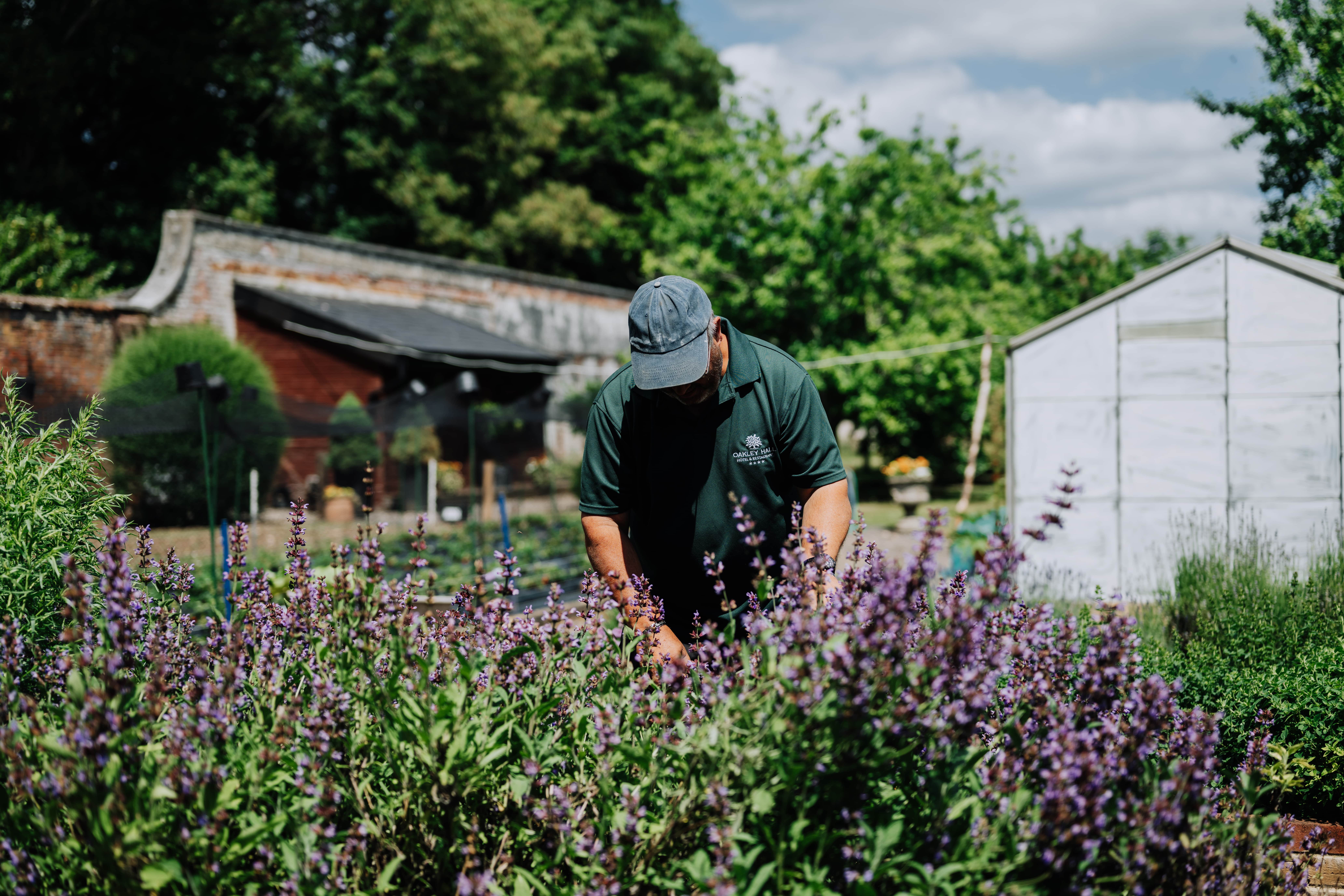 Kitchen Garden at Oakley Hall Hotel